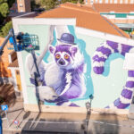 Kalouf’s Final Wall in Madrid — Ring-Tailed Lemur