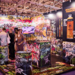 CREATIVEWORLD 2026 &ndash; BETTER THAN EVER