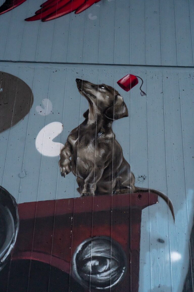 GENERATIONS_PICS_2025-20 Large